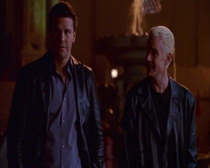 PDVD_530.jpg