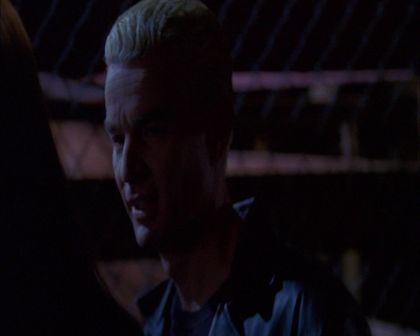 PDVD_229.jpg