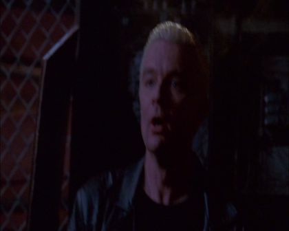 PDVD_269.jpg
