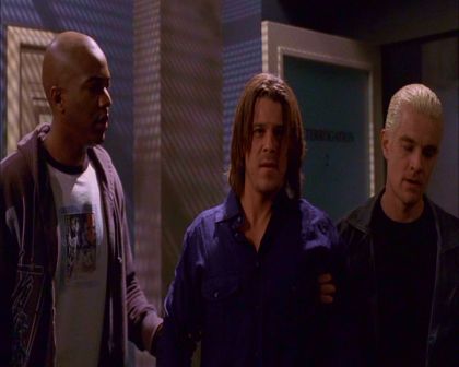 PDVD_528.jpg