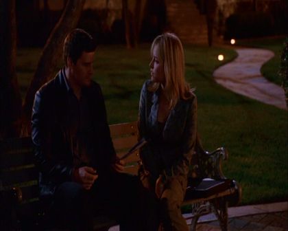 PDVD_538.jpg