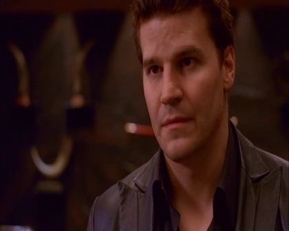 PDVD_834.jpg