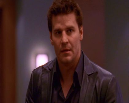 PDVD_861.jpg