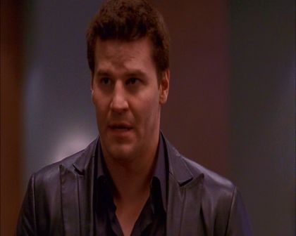 PDVD_864.jpg