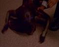 PDVD_616