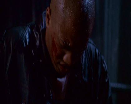 PDVD_1024.jpg