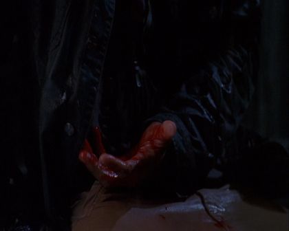 PDVD_1025.jpg