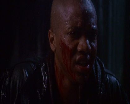 PDVD_1033.jpg