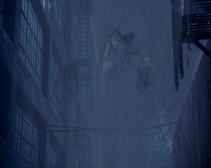 PDVD_1041.jpg