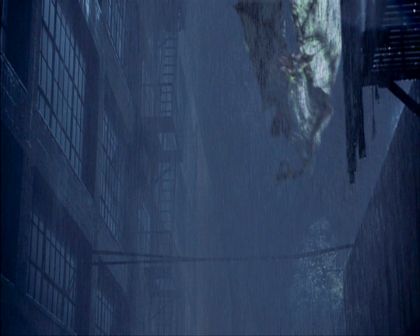 PDVD_1047.jpg