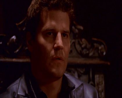 PDVD_141.jpg