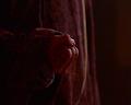 PDVD_723