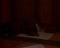 PDVD_854