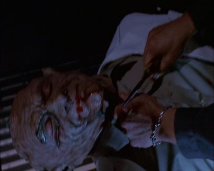PDVD_347.jpg