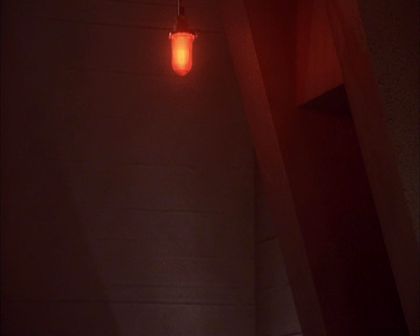 PDVD_536.jpg