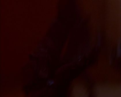 PDVD_552.jpg