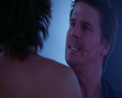 PDVD_739.jpg