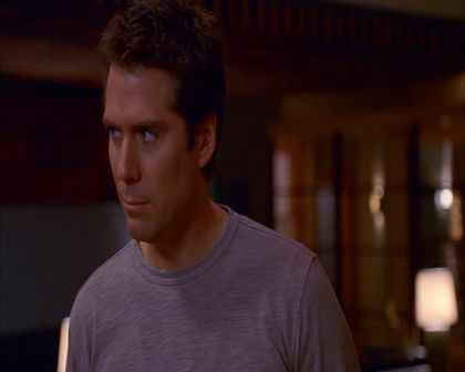 PDVD_800.jpg