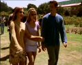 PDVD_003.jpg