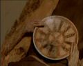 PDVD_053.jpg