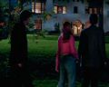 PDVD_393.jpg