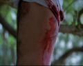 PDVD_026.jpg