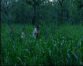 PDVD_089.jpg
