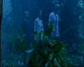 PDVD_093.jpg