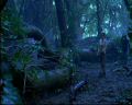 PDVD_111.jpg