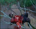 PDVD_116.jpg