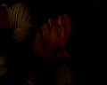 PDVD_053.jpg