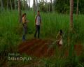 PDVD_038.jpg