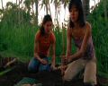PDVD_081.jpg