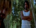 PDVD_028.jpg