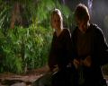 PDVD_071.jpg