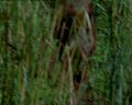 PDVD_077.jpg