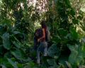 PDVD_112.jpg