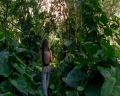 PDVD_113.jpg