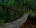 PDVD_1401.jpg