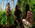 PDVD_0541.jpg