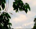 PDVD_0721.jpg