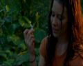 PDVD_0661.jpg