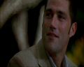 PDVD_1101.jpg