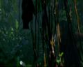 PDVD_1841.jpg