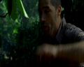 PDVD_1861.jpg