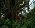 PDVD_0561.jpg