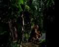 PDVD_1551.jpg