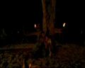PDVD_2231.jpg