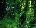 PDVD_022.jpg