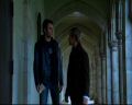 PDVD_046.jpg